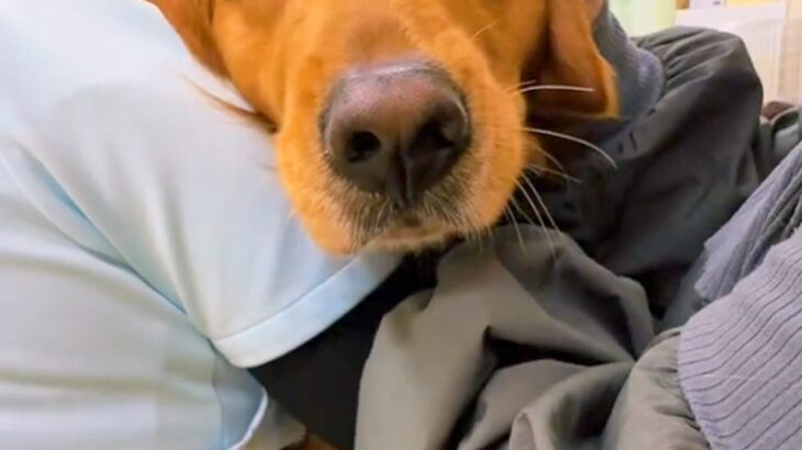 病院の診察室でビビりまくる大型犬→爪切りに来ただけなのに…思わず応援したくなる『子どものような光景』に反響「こんな大きいのにｗｗ」(ブログ)