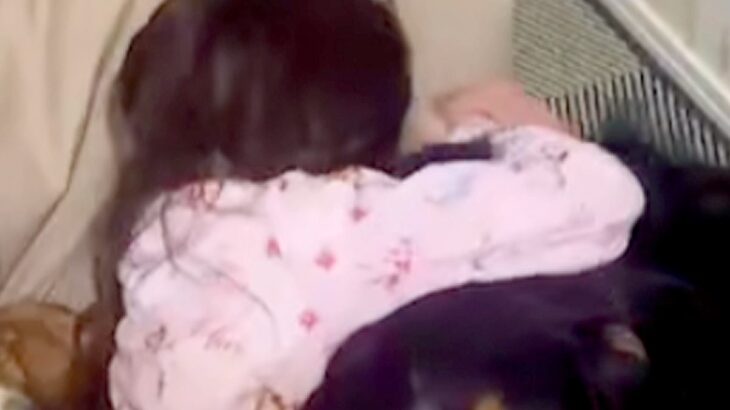 親に叱られ、落ち込んでしまった女の子→超大型犬が近づいて…頼もしすぎる『まさかの表情』が83万再生「訴えてるのよくわかる」「憧れる」(ブログ)