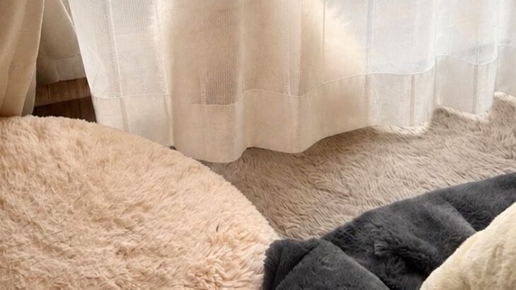 薄いカーテンの裏に隠れる犬→『見つかっていない』と勘違いしていて…あまりにも愛おしい『ドジな光景』に1万いいね「可愛すぎ」「妖精さん」(ブログ)