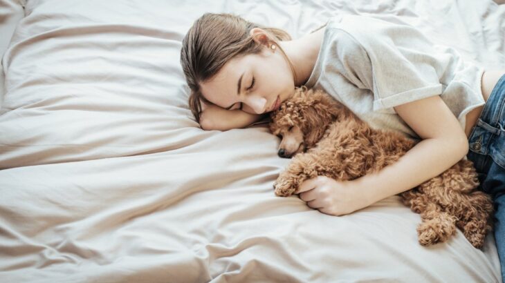 犬が飼い主と『一緒に寝てくれない』理由５選　見直すべき睡眠環境や愛犬の本音まで解説(ブログ)