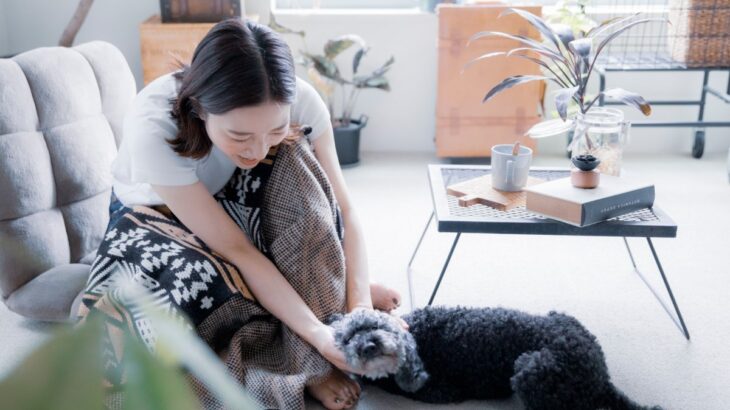 犬が『触ってほしい』ときにみせるサイン５選　愛犬を満足させるスキンシップの方法とは？(ブログ)