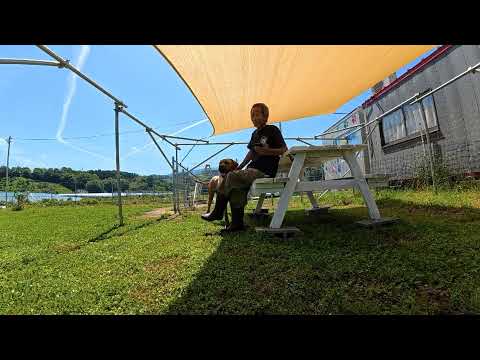 【ゲリラライブ】土佐犬保護の件(YouTube)