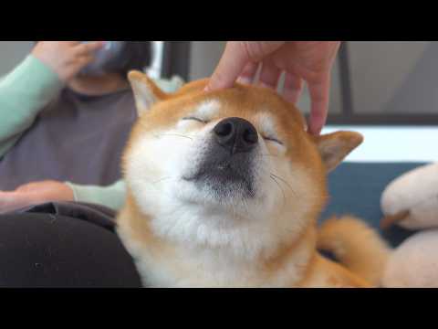 少し悲しいことがありました。(YouTube)