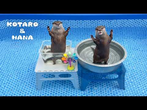 カワウソ達に新しいプールあげたら喜び全開だーっ！　Otters Get Their Paws on a New Pool!(YouTube)