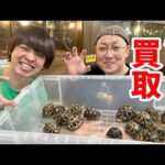 埼玉にある【爬虫類ショップ】を丸ごと買い取った【爬虫類ショップ】が凄すぎる!!!(YouTube)