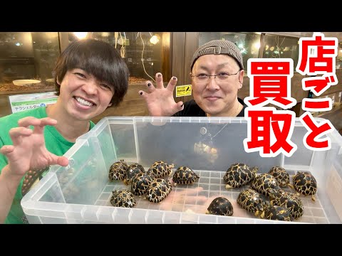 埼玉にある【爬虫類ショップ】を丸ごと買い取った【爬虫類ショップ】が凄すぎる!!!(YouTube)