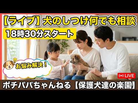 【ライブ】犬のしつけ何でも相談18時30分スタート(YouTube)