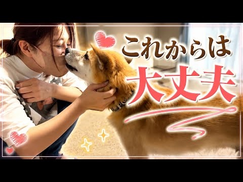 ついにこの季節がやってきてしまった・・(YouTube)