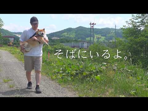 悲しい出来事のあと、柴犬が見せた姿に救われました。(YouTube)