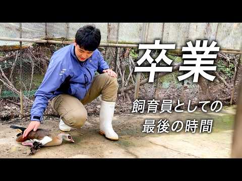 飼育員を卒業します。動物に最後の挨拶をしながら、2年間を振り返ります【池田くん編】(YouTube)