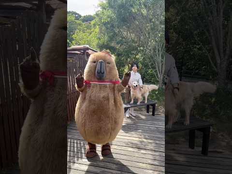 爆裂愛してる‼️(YouTube)