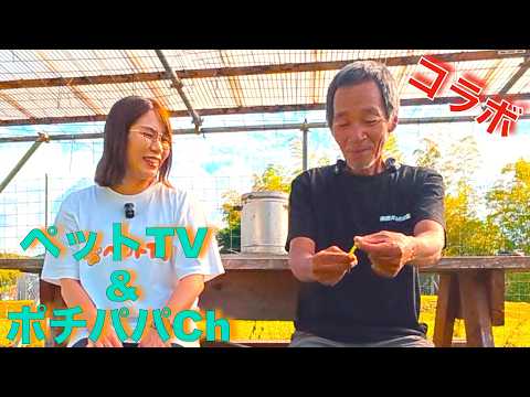 【コラボ】ペットTVさんが遊びに来てくれました！(YouTube)