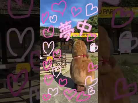 もしもし？　聞こえてるー?(YouTube)