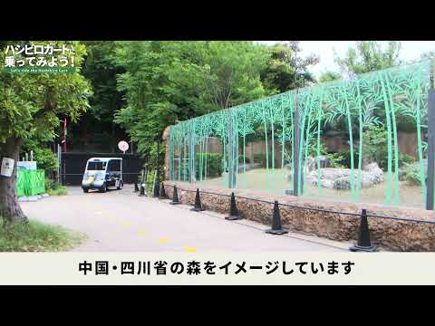 ハシビロカートのご案内（上野動物園）(YouTube)