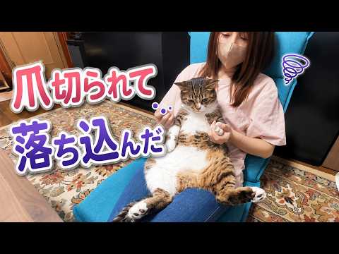 爪切られて落ち込んじゃう猫(YouTube)