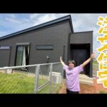生き物を飼育しやすく設計をした【注文住宅】でたくさんの爬虫類、魚、両生類を飼う方のお宅に訪問した結果…(YouTube)