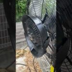 ミスト付き扇風機(YouTube)