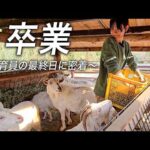 【卒業】動物たちと最後の時間。飼育員の勤務最終日の仕事に密着してみた！【野口さん編】(YouTube)