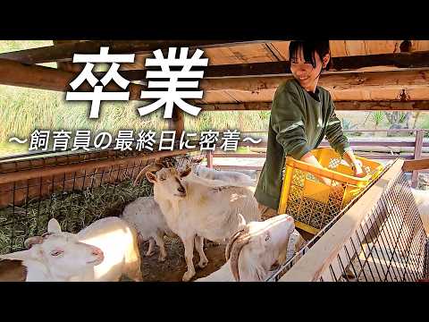 【卒業】動物たちと最後の時間。飼育員の勤務最終日の仕事に密着してみた！【野口さん編】(YouTube)